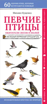 Отзывы о книге «Певчие птицы. Обитатели лесов и полей», рецензии на книгу  Михаила Куценко, рейтинг в библиотеке Литрес