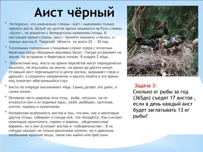 В Тверской области поселились краснокнижные птицы - Газета «Караван Ярмарка»
