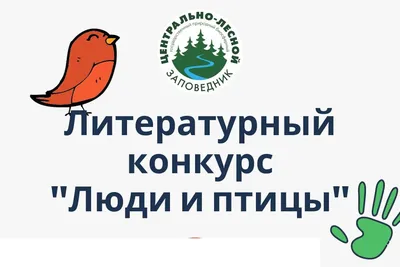 Женщина спасла от смерти стаю стрижей-инвалидов в Тверской области - МК  Тверь