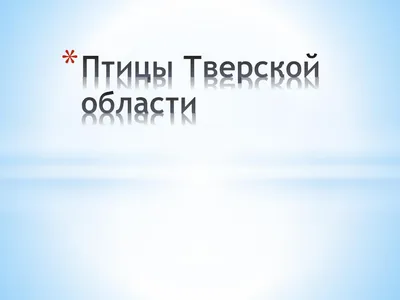 Южные сипухи прекрасно перенесли холода в Тверской области | ТОП Тверь  новости