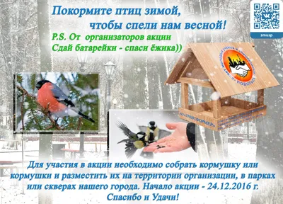 Кормушки для птиц зимой (139 фото) - 139 фото