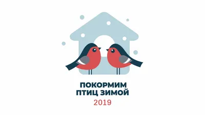 Calaméo - Презентация Пошеченковой И.Н.Покормите птиц зимой