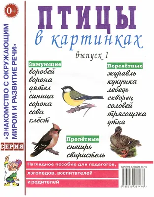 Откуда птицы знают, что им пора в дорогу? | По Приуралью | Дзен