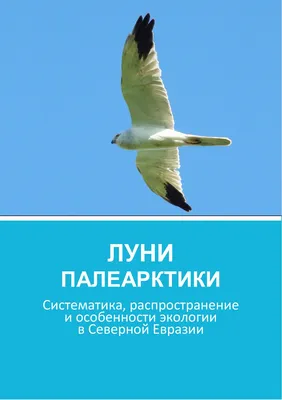 ПЕРЕЛЕТНЫЕ ПТИЦЫ - Воронежский зоопарк Официальный сайт, Зоопитомник  "Червленый Яр"