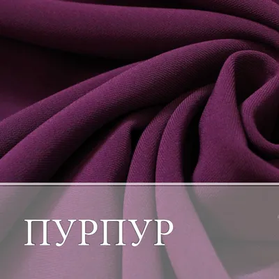 Purple background | Фиолетовый фон | Solid color backgrounds, Colorful  backgrounds, Neon colors