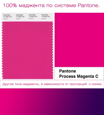 Пурпурный цвет: как выглядит, с чем сочетается в одежде