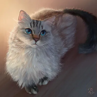 Lovely cats. Милые котики. PNG. | Милые котики, Кошки, Кошачий арт