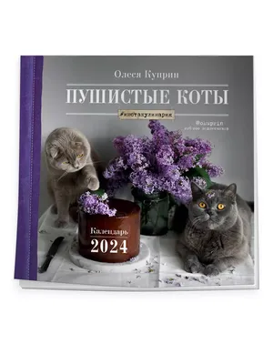 У нас живет большой пушистый кот. Недавно нам подсказали какой он породы |  Девушка с изумрудными глазами | Дзен