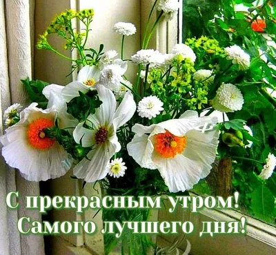 Пусть утро будет добрым! Актуально! #esv_mila #доброеутро #добренькое#... |  TikTok