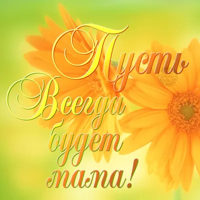 В ТО «Зеленоградское» дети, родители и педагоги приняли участие в викторине  «Пусть всегда будет мама!» - Городской психолого-педагогический центр