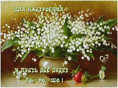 ДОБРОЕ УТРО! 🍪🍒🍫☕🍰🍓🥨 ПУСТЬ У ВАС ВСЁ БУДЕТ ХОРОШО! | Доброе утро,  Открытки, Праздник