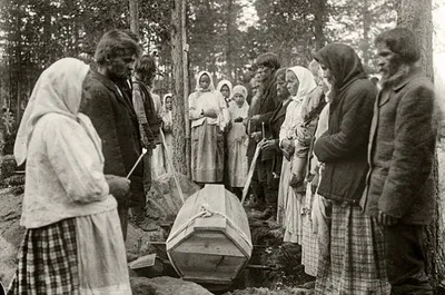 Винни, пусть земля тебе будет пухом" кричали друзья убегая | Пикабу