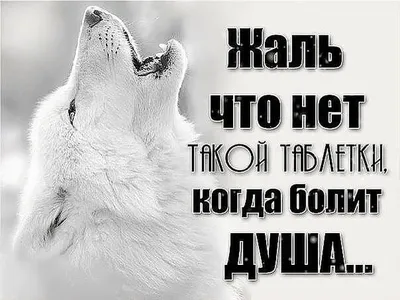 Как мы пришли к усыновлению. Пустота в душе и безразличие к жизни. | "Семья  по-быстрому" | Дзен