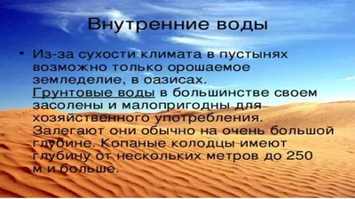 Почвы полупустынь и пустынь: география, условия образования и особенности |  Грунтовозов | Дзен