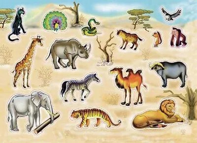 Животные пустыни