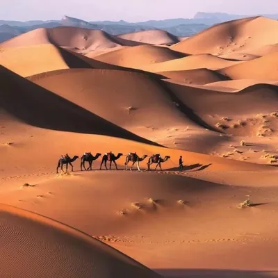 Пустыня Сахара (Sahara). Эрг Шигага. Марокко.