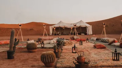 Кто живет в пустыне Сахара? | Lifefacts | Дзен