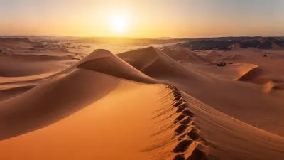 Пустыня Сахара (экорегион) — Википедия