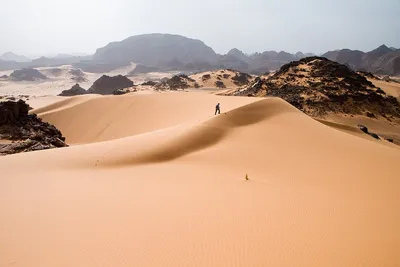 Ученые доказали, что Сахара периодически превращалась в "рай" - Российская  газета