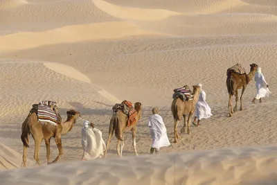 5 интересных фактов о пустыне Сахара. | Время Путешествий | Дзен
