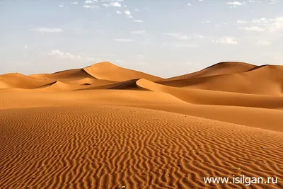 Пустыня Сахара | Обучонок