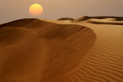 Пустыня Сахара – великое царство песка и зноя | Географ и глобус | Дзен