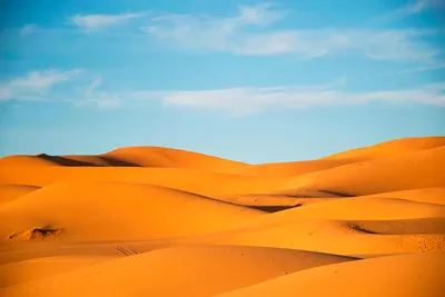 Пустыня Сахара совсем не такая, как представляет большинство | Энциклопедия  Заблуждений | Дзен