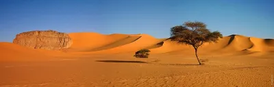 Необычные факты о пустыне Сахара | ПИЛИГРИМ | Дзен