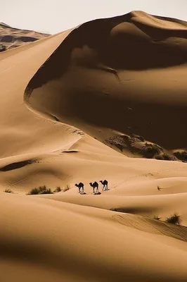 Пустыня в Марокко – пески пустыни Сахара и романтика глэмпинг в Агафэй