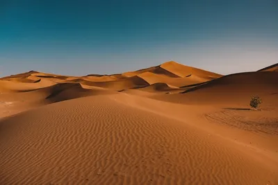 тур по пустыне сахара верблюд арабская культура иллюстрация, задний план,  гора, пустыня фон картинки и Фото для бесплатной загрузки