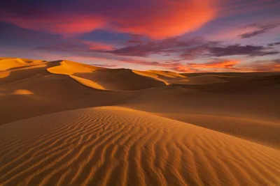 Пустыня Сахара: где находится, описание, история