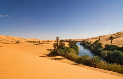 Климатологи рассказали, когда Сахара станет зеленой - «Экология России»