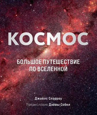 Книга "Костик и путешествие во времени. Истории про космос, тайные послания  и ангела в жёлтой шляпе" Арзамасова Е - купить в Германии | 