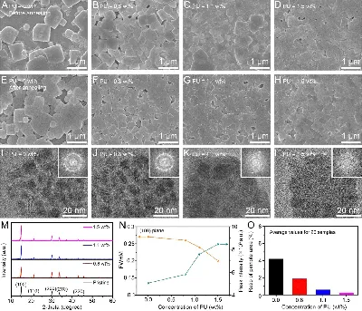 TBR2 coordinates neurogenesis expansion and precise microcircuit  organization via Protocadherin 19 in the mammalian cortex | Nature  Communications