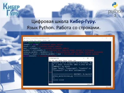 Работа с базами данных в Python | Python Tutorial. Обучение, уроки и  заметки по Python | Дзен