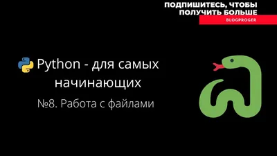 Python и API: превосходное комбо для автоматизации работы с публичными  данными