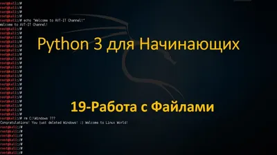 Работа с файлами в Python: чтение, запись и обработка данных в различных  форматах | IT Start | Python | Дзен