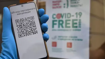 Как сделать QR код [Бесплатно] - YouTube