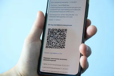 QR-код: Что это такое? Особенности и приложения для расшифровки.