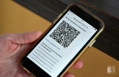 Как самому сделать QR код? Создаем красивый QR-код на компьютере и телефоне  - YouTube