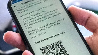 Как сканировать QR-код вакцинации. Всё, что нужно знать - 