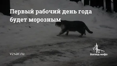  — выходной или рабочий день в России: как будет  оплачиваться, что отмечается