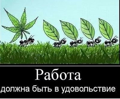 Работа должна быть в удовольствие / Хабр