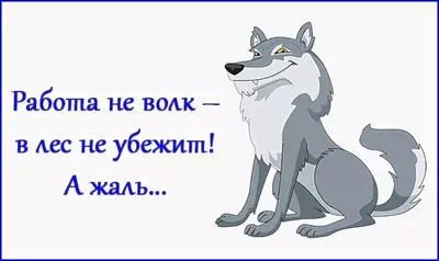 Про работу. Режим человеческой работоспособности. | Полезные советы. Юмор  ))) | Дзен