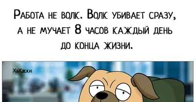 Работа не волк, в лес не убежит». У фразы, возможно, есть продолжение, и  оно меняет привычный смысл | Пикабу