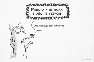 Котоматрица: работа - не волк, в лес не убежит, брак идёт, контора пишет...