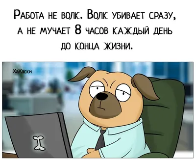 Прикольная футболка с надписью Работа не волк, в лес не убежит 48 купить  недорого в интернет-магазине