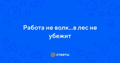 Ответы : Работа не волк...в лес не убежит