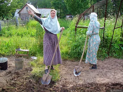 Каким образом работы в саду и огороде влияют на здоровье людей | Garden  Industry - Каталог Садовая индустрия