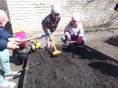 Врач рассказал, почему нужны перчатки для работы в огороде - Газета.Ru |  Новости